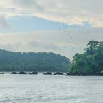 Protocolos de bioseguridad, una apuesta del ecoturismo en las áreas protegidas del Pacífico | Noticias de Buenaventura, Colombia y el Mundo