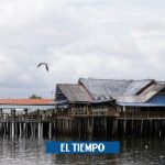 Cómo es la vida en Tumaco en 2020: guerra, cultivos ilícitos, pero quieren turismo - Política