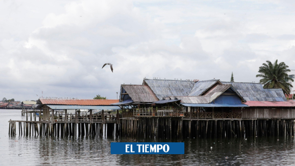 Cómo es la vida en Tumaco en 2020: guerra, cultivos ilícitos, pero quieren turismo - Política