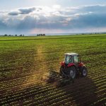 Gobierno aprobó el uso de tecnología para cultivar trigo transgénico