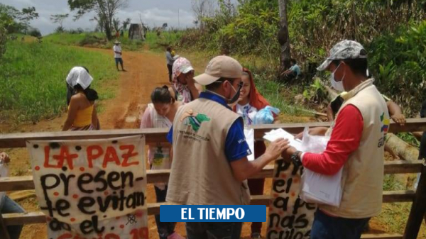 Guaviare: El lío para llevar clases a la selva en medio de la pandemia - Gobierno - Política