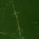 Tecnología LiDAR ayuda a conocer mejor los bosques amazónicos