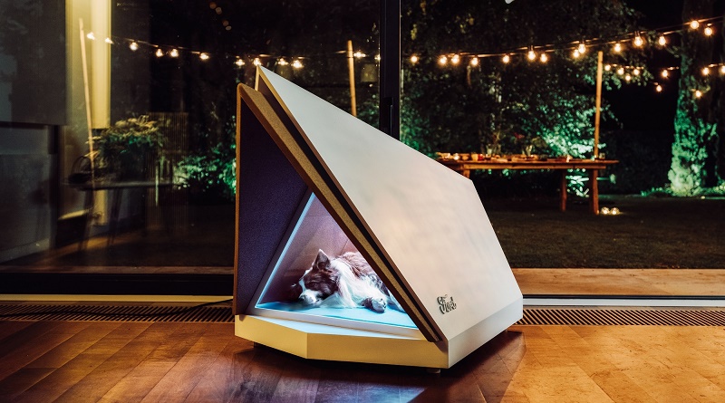 Noise-Cancelling Kennel Could Help Make Sure Your Dog Has a Happ