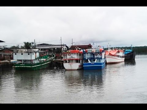 Paralizado el trasporte marítimo de Buenaventura en medio del apoyo al paro cívico | Noticias de Buenaventura, Colombia y el Mundo