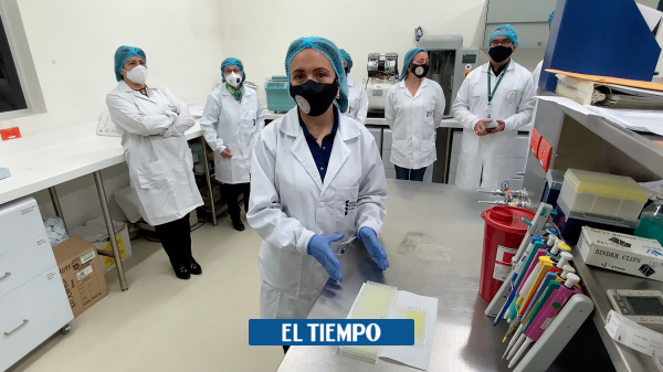 Así es la prueba serológica para el coronavirus desarrollada en Colombia - Salud