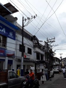 Celsia amplía y moderniza la red eléctrica del sector de Pueblo Nuevo en Buenaventura | Noticias de Buenaventura, Colombia y el Mundo