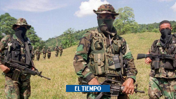 Nueva masacre en Cauca: Otras tres personas asesinadas en El Patía - Cali - Colombia