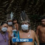 Coronavirus en Amazonas: Sabiduría ancestral, otra pérdida en la Amazonia - Otras Ciudades - Colombia