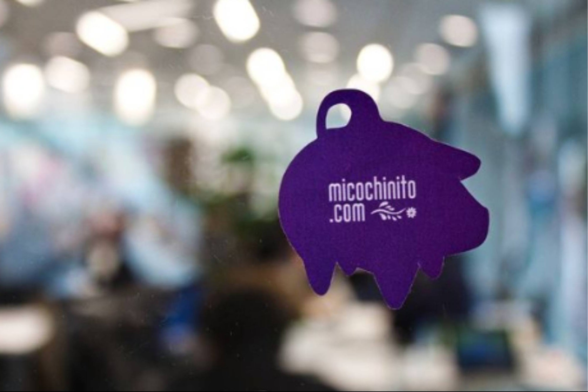 Mi Cochinito se convierte en la primera plataforma mexicana de crowdfunding social internacional