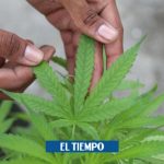 Ropa elaborada con cannabis entra al mercado en Colombia - Empresas - Economía