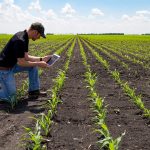 El uso de tecnologia está revolucionando el sector agropecuario