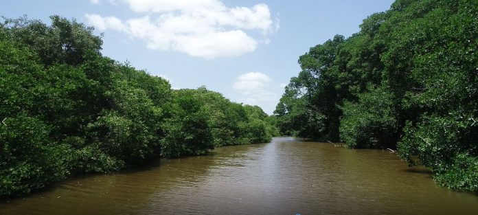 La revisión de los caudales y la calidad del agua del río Ranchería, a su paso por Cerrejón, son supervisados por el Ideam.