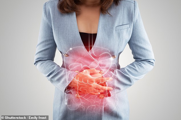 El estrés psicológico puede contribuir a los brotes de la enfermedad de Crohn al impedir la capacidad del cuerpo para combatir las bacterias intestinales malas como la E. coli, según sugiere un estudio (imagen de archivo)