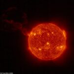 Explosión: una gran erupción del sol (en la foto) ha sido captada por la cámara de la sonda Solar Orbiter.  Es la erupción de este tipo más grande jamás observada en una sola imagen con el disco solar completo en una toma, dijo la Agencia Espacial Europea.