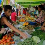 IPC de alimentos llevaría a más colombianos a la pobreza: Anif | Finanzas | Economía