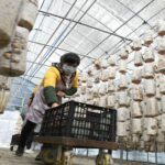 La economía de China puede estar 'luchando', pero 'no está en serios problemas', dice economista | Noticias de Buenaventura, Colombia y el Mundo