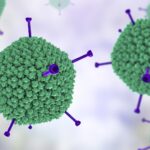 Los CDC dicen que el adenovirus puede contribuir a la lesión hepática en niños sanos después de investigar los casos de Alabama | Noticias de Buenaventura, Colombia y el Mundo