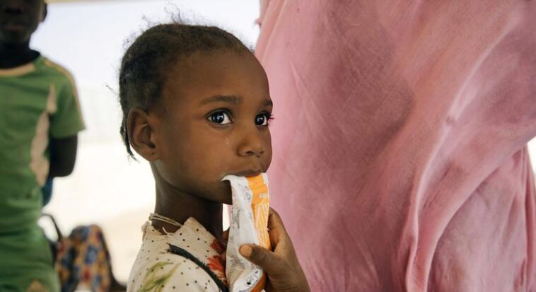África occidental: el PMA trabaja para alimentar a millones en medio de un hambre sin precedentes y costos en aumento | Noticias de Buenaventura, Colombia y el Mundo