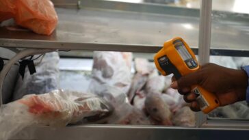 Fortalecen inspección a pescados y alimentos de consumo en Semana Santa  | Noticias de Buenaventura, Colombia y el Mundo
