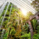La primera ministra de Nueva Zelanda, Jacinda Ardern, revela una talla maorí en Gardens by the Bay's Cloud Forest | Noticias de Buenaventura, Colombia y el Mundo