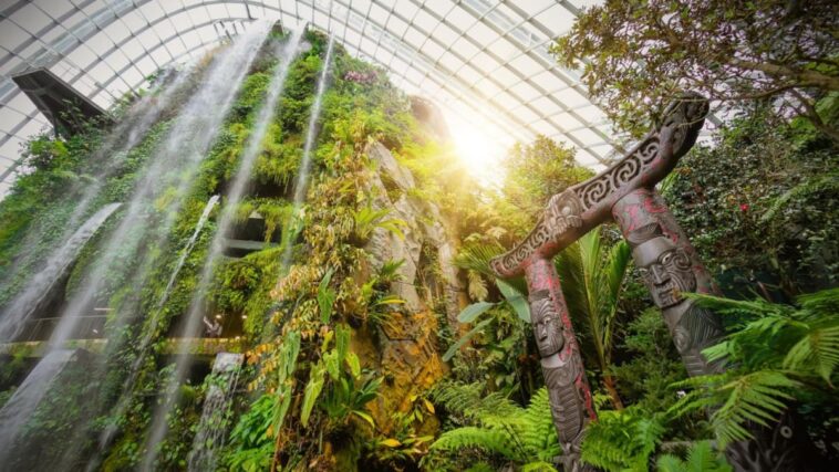 La primera ministra de Nueva Zelanda, Jacinda Ardern, revela una talla maorí en Gardens by the Bay's Cloud Forest | Noticias de Buenaventura, Colombia y el Mundo