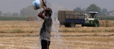 El cambio climático ha hecho que la ola de calor de la India sea 100 veces más probable, dice el servicio meteorológico del Reino Unido | Noticias de Buenaventura, Colombia y el Mundo
