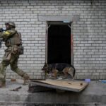 Zelenskyy de Ucrania desafiante mientras Rusia se retira de Kharkiv | Noticias de Buenaventura, Colombia y el Mundo