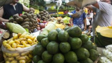 Inflación: estos son los alimentos que bajaron de precio en las plazas de mercado | Finanzas | Economía