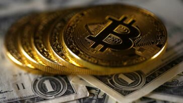 Los efectos del desplome del bitcóin y demás criptomonedas | Finanzas | Economía