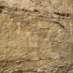 Los arqueólogos han desenterrado la tumba de 4.300 años de antigüedad de un antiguo dignatario egipcio | Noticias de Buenaventura, Colombia y el Mundo