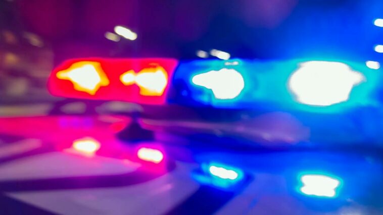 Hombre de Boise arrestado bajo sospecha de asesinato después de dispararle el domingo a una mujer | Noticias de Buenaventura, Colombia y el Mundo