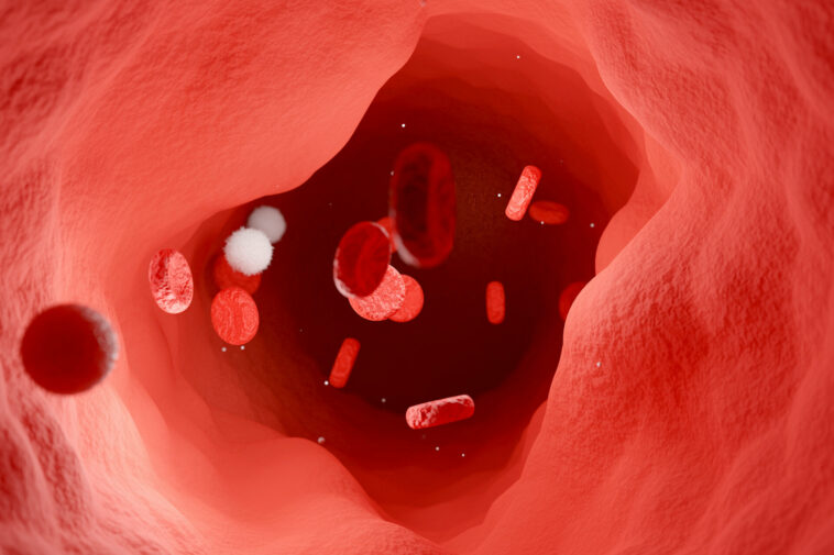 Las células T Haywire atacan la proteína en "malo" colesterol | Noticias de Buenaventura, Colombia y el Mundo