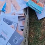 Mujer de Los Ángeles encuentra 104 boletas electorales por correo robadas mientras paseaba a su perro; USPS, oficina de registro investigando | Noticias de Buenaventura, Colombia y el Mundo