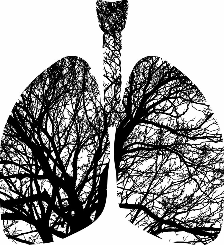 La enfermedad pulmonar obstructiva crónica provoca el envejecimiento prematuro del sistema inmunitario, sugiere un estudio | Noticias de Buenaventura, Colombia y el Mundo