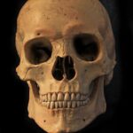 Cráneo de casi 8.000 años encontrado en el río Minnesota | Noticias de Buenaventura, Colombia y el Mundo