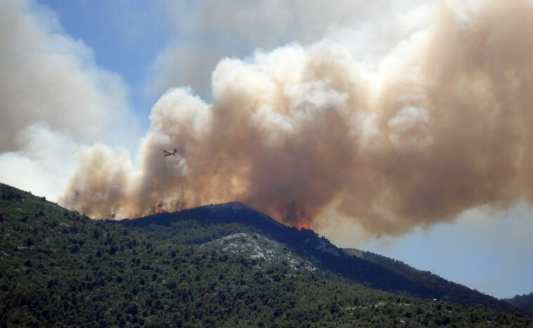 La exposición a los incendios forestales aumenta el riesgo de cáncer | Noticias de Buenaventura, Colombia y el Mundo