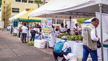 Cerca de 600 serán los beneficiarios con Jornada de Negocios: Agricultura por Contrato en Buenaventura  | Noticias de Buenaventura, Colombia y el Mundo