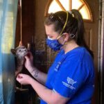 Mujer de Muncie acusada de crueldad animal 8 meses después de que sacaran a docenas de gatos de su casa | Noticias de Buenaventura, Colombia y el Mundo