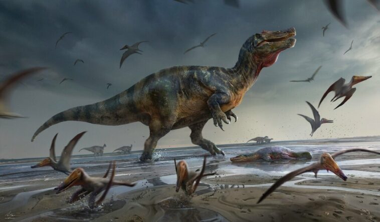 El 'dinosaurio Depredador Más Grande' De Europa Encontrado Por Un Cazador  De Fósiles Del Reino Unido
