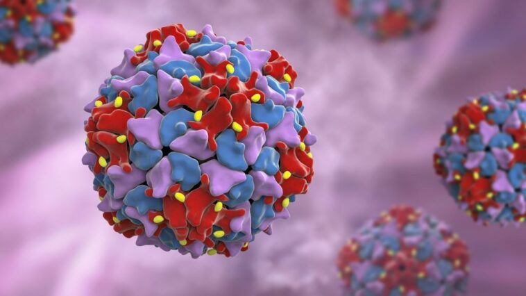 Poliovirus detectado en aguas residuales de Londres, advierten funcionarios del Reino Unido | Noticias de Buenaventura, Colombia y el Mundo