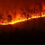 El incendio forestal del bosque estatal de NJ Wharton quema al menos 7,200 acres y amenaza las estructuras | Noticias de Buenaventura, Colombia y el Mundo