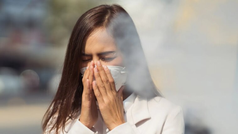 Respirar aire contaminado puede provocar daños neurológicos, advierte un estudio | Noticias de Buenaventura, Colombia y el Mundo