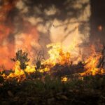 4 edificios en observatorio en Arizona perdidos en incendio forestal | Noticias de Buenaventura, Colombia y el Mundo