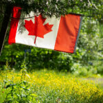 ¿El 'Convoy de la Libertad' Cambió el Significado de la Bandera de Canadá? | Noticias de Buenaventura, Colombia y el Mundo