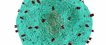 Nuevo dispositivo podría acelerar el desarrollo de inmunoterapias de células T para el cáncer | Noticias de Buenaventura, Colombia y el Mundo