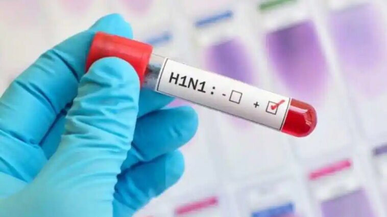 ¿Está comenzando la temporada de gripe porcina? ¿Quién está en riesgo de infección? Todo lo que necesitas saber | Noticias de Buenaventura, Colombia y el Mundo