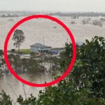 Mensaje sombrío mientras las inundaciones destrozan Sydney y los alrededores | Noticias de Buenaventura, Colombia y el Mundo