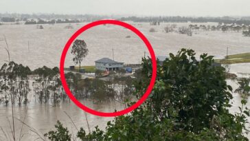 Mensaje sombrío mientras las inundaciones destrozan Sydney y los alrededores | Noticias de Buenaventura, Colombia y el Mundo