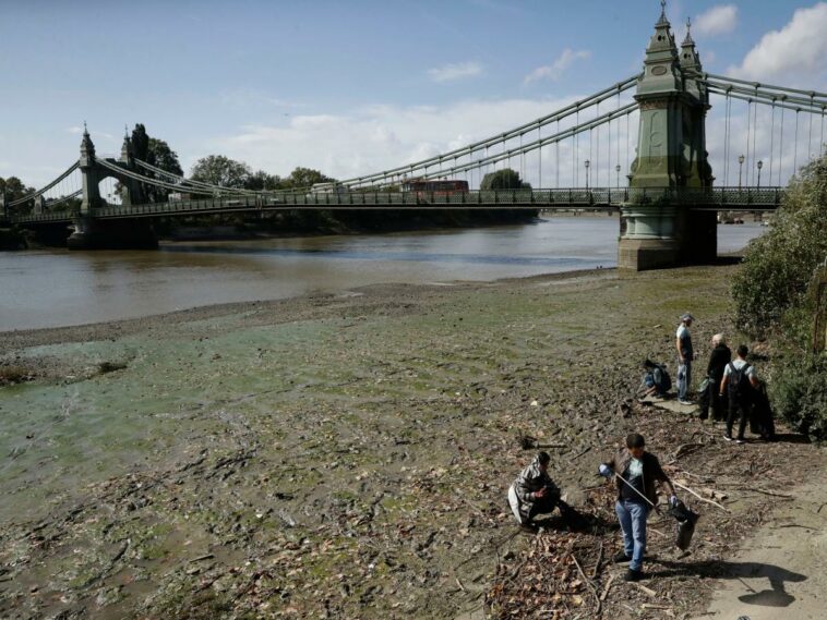 Una enorme masa de toallitas húmedas usadas ha formado una 'isla' que ha cambiado el curso del segundo río más largo de Inglaterra, dice MP | Noticias de Buenaventura, Colombia y el Mundo