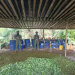 DESTRUÍDOS OCHO LABORATORIOS DE PRODUCCIÓN DE COCAÍNA EN COSTA NARIÑENSE  | Noticias de Buenaventura, Colombia y el Mundo